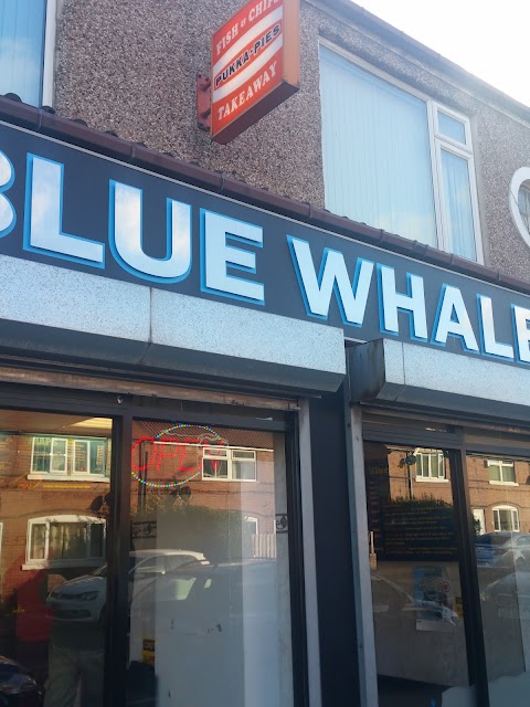 The Blue Whale