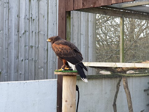 Feadon Wildlife & Education Centre