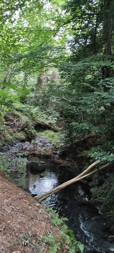 Lorne Estate & Girlguiding Ulster