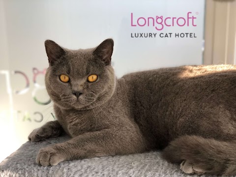 Longcroft Luxury Cat Hotel Chelmsford