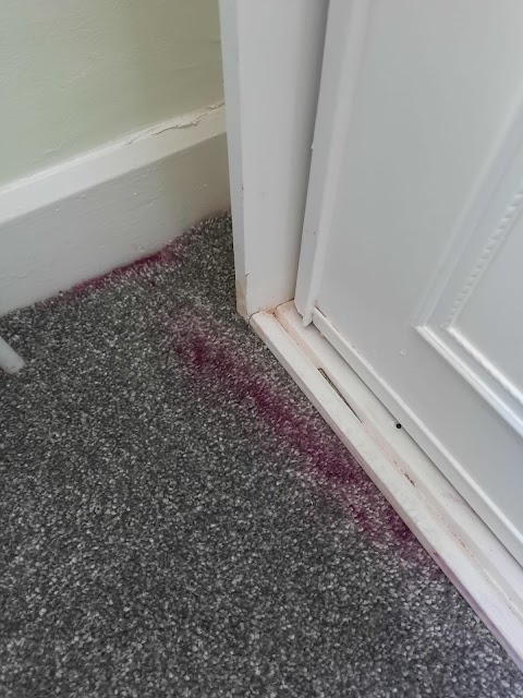 Heaton Carpet Cleaning