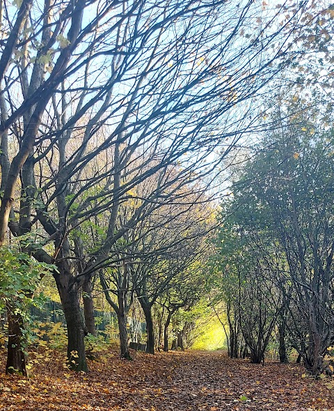 Wrenthorpe Park Play Area