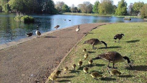 Alvaston Park