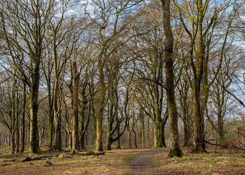 Cathkin Braes