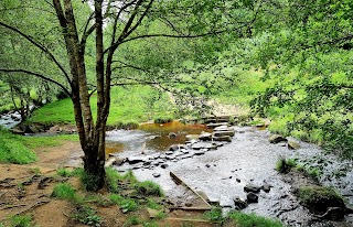 Wyming Brook