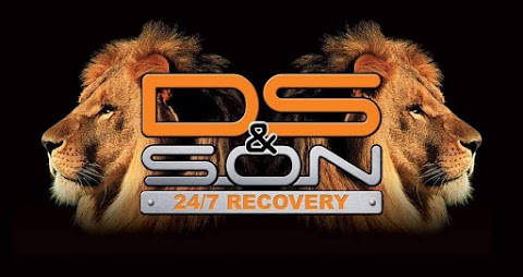 Ds&son ltd