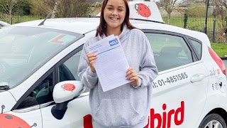 Ladybird Driving School Bray