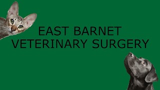 East Barnet Veterinary Surgery