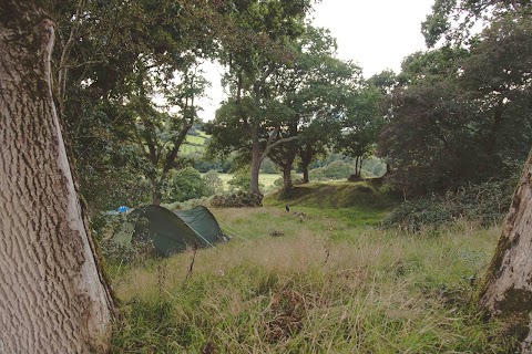 Bush Farm Wild Camping