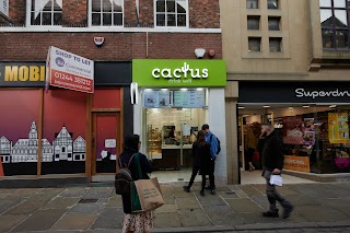 Cactus Drink Well Chester