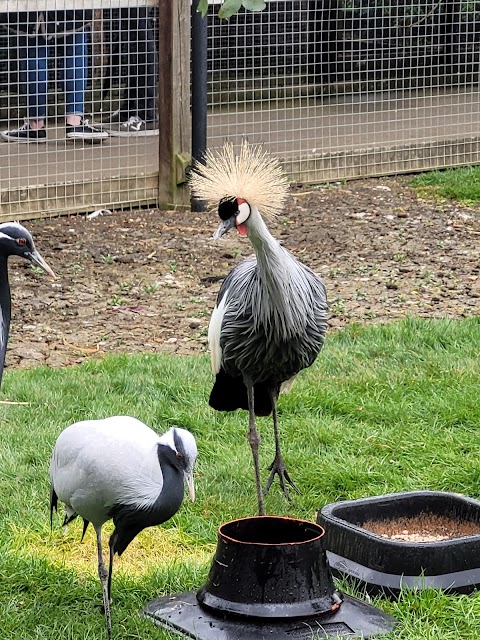 Hamerton Zoo Park