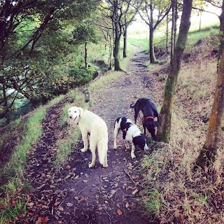 Adventure Walkies Bolton