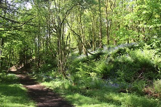 Twechar Primary School