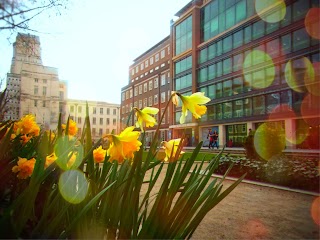 Birkbeck, University of London