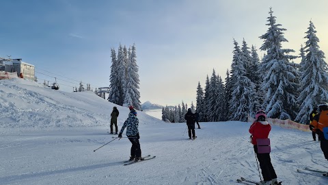 Панорама Найвища Точка Буковеля