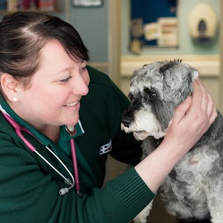 Goddard Veterinary Group, Brixton