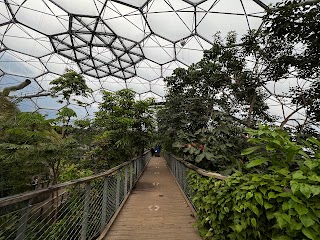 Eden Project