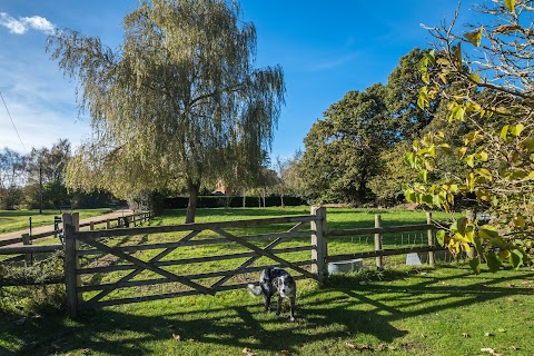 Thatched Cottage Bed and Breakfast, Brockenhurst