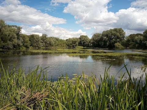 Priory Country Park