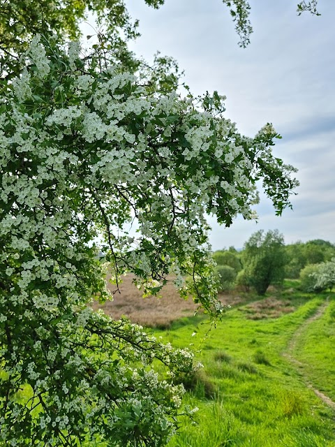 Robroyston Park