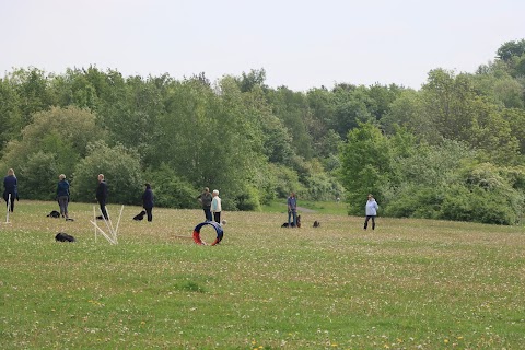 Astbury Mere Country Park