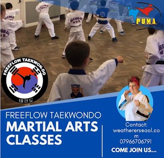 Freeflow Taekwondo - Martial Arts