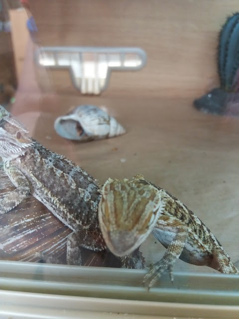 Bristol Reptile Emporium