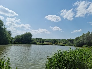 Brierley Forest Park