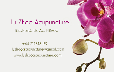 Lu Zhao Acupuncture