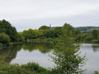 Kiltonga Nature Reserve