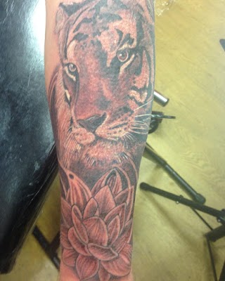 Skinsane Tattoo Studio