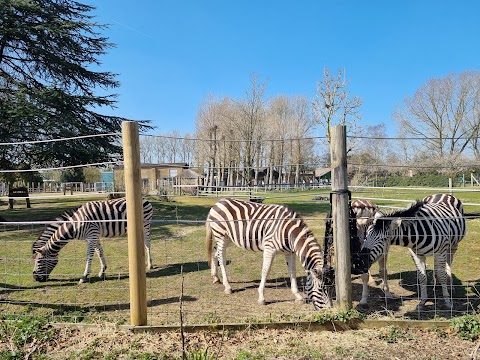 Twycross Zoo