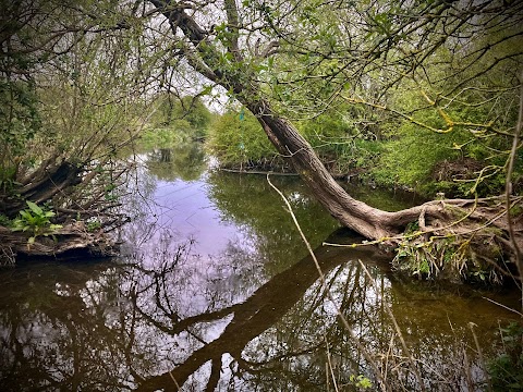 Aylestone Meadows Local Nature Reserve