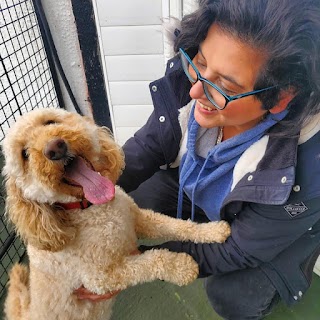 Ty Gwyn Boarding Kennels & Cattery