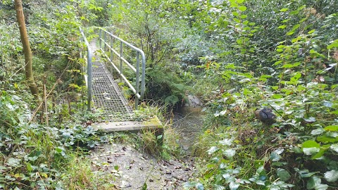 Water point for dogs