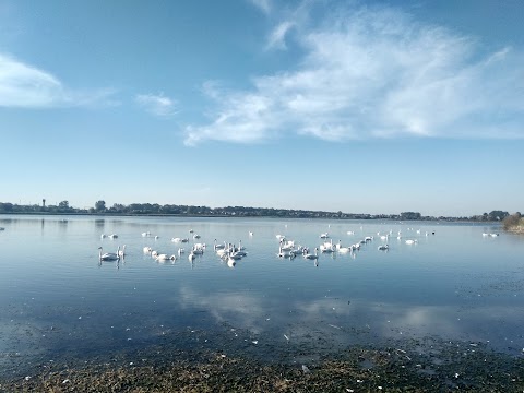 Городоцький став