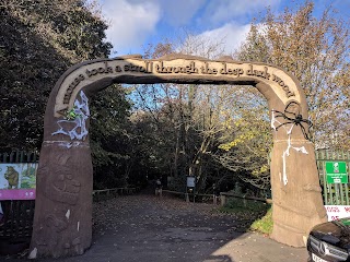 Colin Glen River Entrance