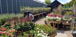 Dobbies Waterfall Café