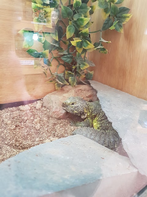 Mansfield Aquatic, Reptile & Pet Centre (MARP Centre)