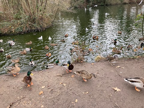 Swakeleys Park Play Area