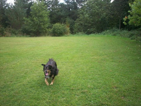 Folly Veterinary Centre