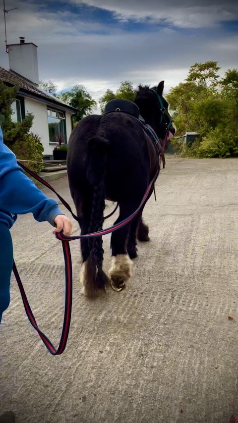 Mourneview Stables