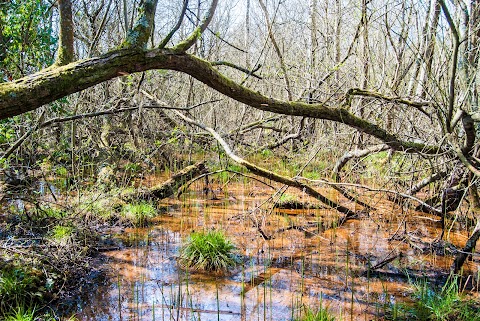 California Country Park