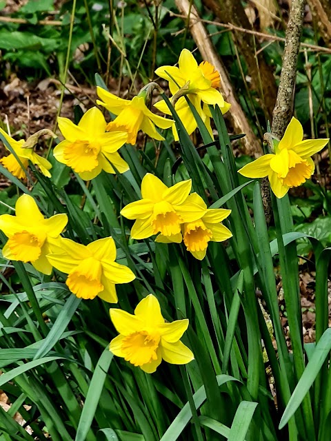 Broadmarsh Coastal Park