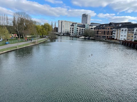 Christchurch Meadows