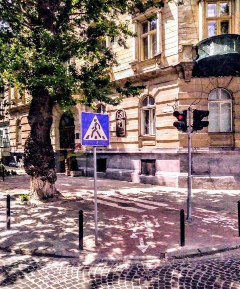 Avangard Lviv Apartments