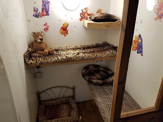 Cozy Catz Cattery