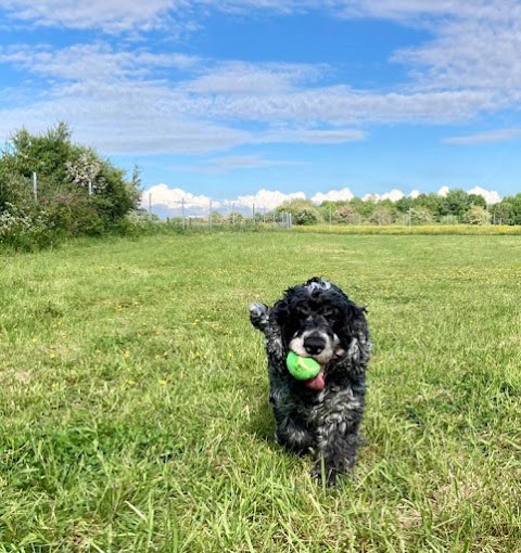 Westhoughton Dog Park