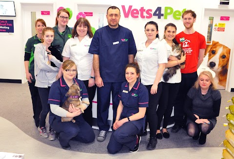 Vets4Pets - Portishead