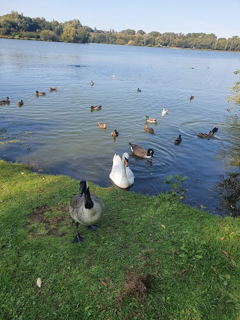 Colwick Country Park